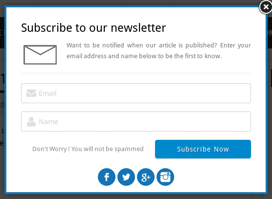 Example of Newsletter Subscription Box
